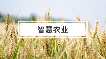 智慧農(nóng)業(yè)設(shè)計方案
