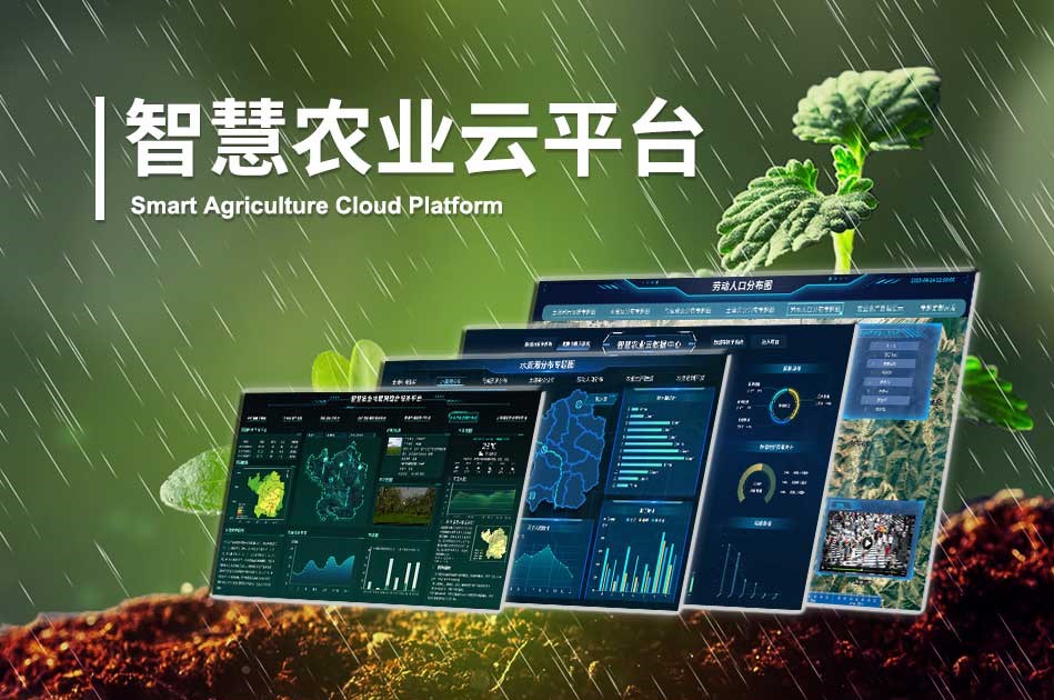 在當(dāng)今這個科技日新月異的時代，定制化智慧農(nóng)業(yè)解決方案正逐步成為推動農(nóng)業(yè)創(chuàng)新的關(guān)鍵力量。這些解決方案基于先進(jìn)的物聯(lián)網(wǎng)、大數(shù)據(jù)、人工智能等技術(shù)，針對不同地區(qū)、不同作物、不同生產(chǎn)需求的實(shí)際情況，量身定制，為農(nóng)業(yè)生產(chǎn)帶來了前所未有的變革。